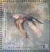 Little Stint Calidris minuta  2023 Migratory birds Sheet
