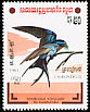 Barn Swallow Hirundo rustica  1983 Birds 
