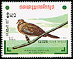 Sunda Collared Dove Streptopelia bitorquata  1983 Birds 