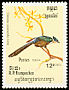 Chestnut-winged Cuckoo Clamator coromandus  1984 Birds 