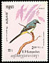 Grey Wagtail Motacilla cinerea  1984 Birds 