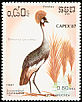 Grey Crowned Crane Balearica regulorum  1987 Capex 87 