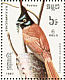 Blyth's Paradise Flycatcher Terpsiphone affinis