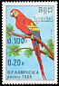Scarlet Macaw Ara macao  1989 Parrots 