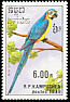 Blue-and-yellow Macaw Ara ararauna  1989 Parrots 