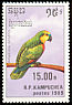Turquoise-fronted Amazon Amazona aestiva  1989 Parrots 
