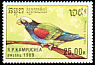 White-crowned Parrot Pionus senilis  1989 Parrots 