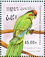 Red-crowned Parakeet Cyanoramphus novaezelandiae  1989 Parrots  MS