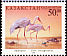 Siberian Crane Leucogeranus leucogeranus  1998 Birds 