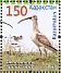 Eurasian Curlew Numenius arquata  2013 Steppe birds Sheet