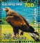 Golden Eagle Aquila chrysaetos