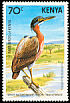 White-backed Night Heron Gorsachius leuconotus  1984 Rare birds of Kenya 