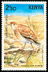Quail-plover Ortyxelos meiffrenii  1984 Rare birds of Kenya 