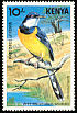 White-winged Apalis Apalis chariessa  1984 Rare birds of Kenya 