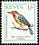 Red-and-yellow Barbet Trachyphonus erythrocephalus  1993 Birds 