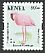 Lesser Flamingo Phoeniconaias minor  2014 Birds 