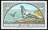 Rock Dove Columba livia  1965 Overprint Khor Fakkan on Sharjah 1965.01 