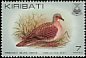 Tongan Ground Dove Pampusana stairi  1982 Birds 