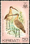 Bristle-thighed Curlew Numenius tahitiensis  1982 Birds 