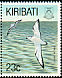 Cook's Petrel Pterodroma cookii  1993 Birds 