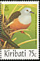 Micronesian Imperial Pigeon Ducula oceanica  1997 Pigeons and doves 