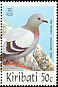 Rock Dove Columba livia  1997 ASIA 97 