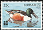 Northern Shoveler Spatula clypeata  1999 IBRA 99 