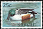 Northern Shoveler Spatula clypeata  2001 Ducks 