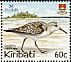 Sanderling Calidris alba  2004 BirdLife International 