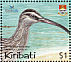 Bristle-thighed Curlew Numenius tahitiensis  2004 BirdLife International Sheet