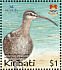 Bristle-thighed Curlew Numenius tahitiensis  2004 BirdLife International Sheet