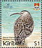 Bristle-thighed Curlew Numenius tahitiensis  2004 BirdLife International Sheet