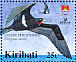 Lesser Frigatebird Fregata ariel  2005 BirdLife International Sheet
