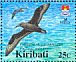 Christmas Shearwater Puffinus nativitatis  2005 BirdLife International Sheet