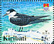 Sooty Tern Onychoprion fuscatus