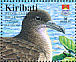 Wedge-tailed Shearwater Ardenna pacifica