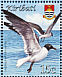 Laughing Gull Leucophaeus atricilla  2008 Birds Sheet