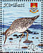 Sharp-tailed Sandpiper Calidris acuminata  2008 Birds Sheet