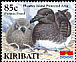 Phoenix Petrel Pterodroma alba  2008 Phoenix Island 6v set