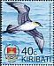 Long-tailed Jaeger Stercorarius longicaudus