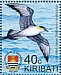 Long-tailed Jaeger Stercorarius longicaudus  2019 Birds Sheet