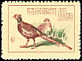 Common Pheasant Phasianus colchicus  1960 Game preservation 