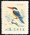 Black-capped Kingfisher Halcyon pileata  1965 Korean birds 