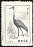 White-naped Crane Antigone vipio  1965 Wading birds 