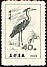 Grey Heron Ardea cinerea  1965 Wading birds 
