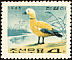 Ruddy Shelduck Tadorna ferruginea  1965 Korean ducks 