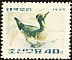 Baikal Teal Sibirionetta formosa  1965 Korean ducks 