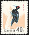 White-bellied Woodpecker Dryocopus javensis  1966 Korean birds 