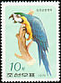 Blue-and-yellow Macaw Ara ararauna  1975 Parrots 