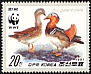 Mandarin Duck Aix galericulata  1987 WWF 